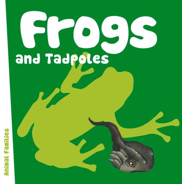 Produktbild: Frogs and Tadpoles