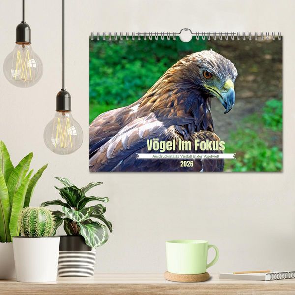 Produktbild: V&ouml;gel im Fokus - Ausdrucksstarke Vielfalt in der Vogelwelt (Wandkalender 2026 DIN A4 quer), CALVENDO Monatskalender