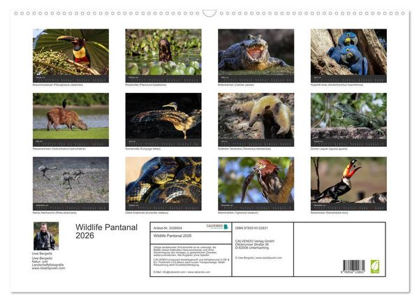 Produktbild: Wildlife Pantanal 2026 (Wandkalender 2026 DIN A2 quer), CALVENDO Monatskalender