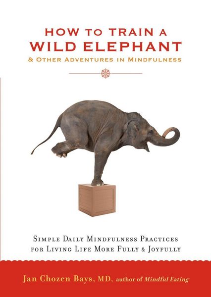 Produktbild: How to Train a Wild Elephant