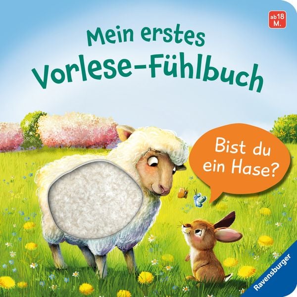 Mein erstes Vorlese-Fühlbuch - Bist du ein Hase?, Gebundene Ausgabe von Kathrin Lena Orso, Ravensburger Verlag GmbH, 978-3-473-41687-5