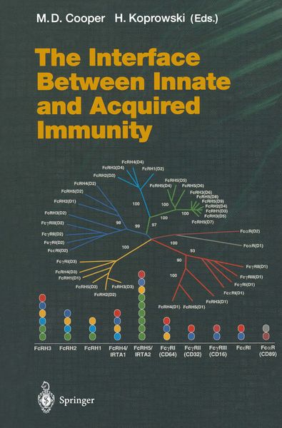 Produktbild: The Interface Between Innate and Acquired Immunity