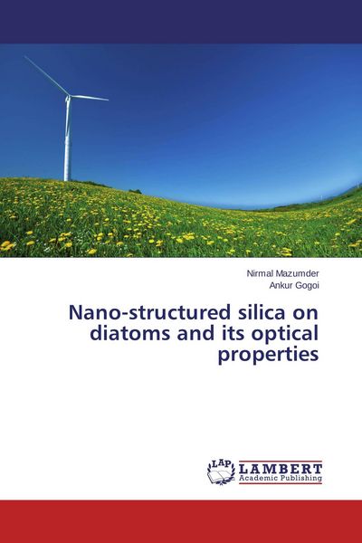 Produktbild: Nano-structured silica on diatoms and its optical properties