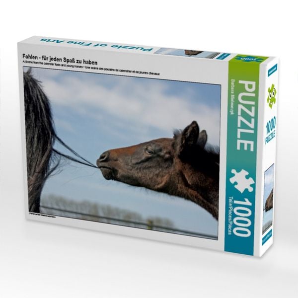 Produktbild: CALVENDO Puzzle Fohlen - f&uuml;r jeden Spa&szlig; zu haben | 1000 Teile Lege-Gr&ouml;&szlig;e 64x48cm Foto-Puzzle f&uuml;r gl&uuml;ckliche Stunden