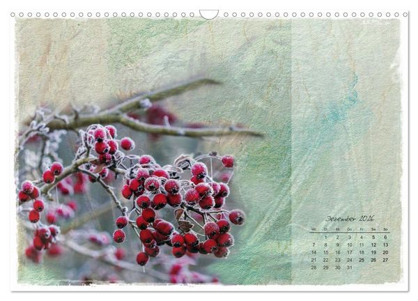 Produktbild: Bl&uuml;te trifft auf Aquarell (Wandkalender 2026 DIN A3 quer), CALVENDO Monatskalender