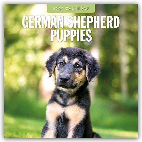 Produktbild: German Shepherd Puppies &ndash; Deutsche Sch&auml;ferhunde Welpen 2027 &ndash; 16-Monatskalender