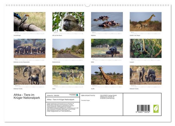 Produktbild: Afrika - Tiere im Kr&uuml;ger Nationalpark (hochwertiger Premium Wandkalender 2026 DIN A2 quer), Kunstdruck in Hochglanz