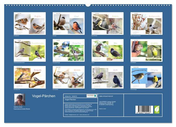 Produktbild: Vogel-P&auml;rchen (hochwertiger Premium Wandkalender 2026 DIN A2 quer), Kunstdruck in Hochglanz