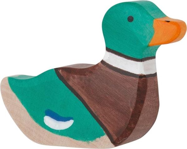 Erpel, schwimmend