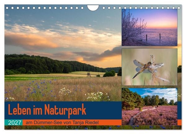 Produktbild: Leben am Naturpark um den D&uuml;mmer See (Wandkalender 2027 DIN A4 quer), CALVENDO Monatskalender