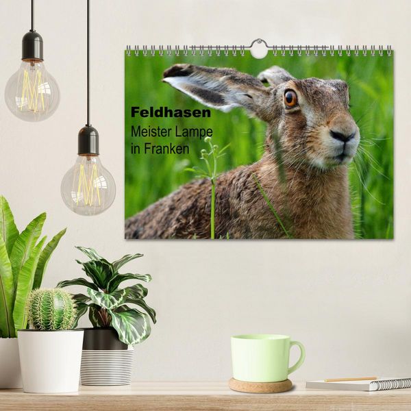 Produktbild: Feldhasen - Meister Lampe in Franken (Wandkalender 2026 DIN A4 quer), CALVENDO Monatskalender