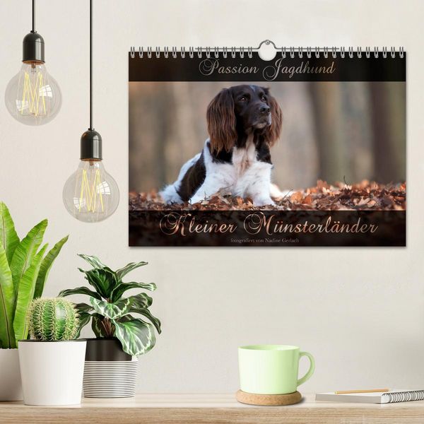 Produktbild: Passion Jagdhund - Kleiner M&uuml;nsterl&auml;nder (Wandkalender 2026 DIN A4 quer), CALVENDO Monatskalender