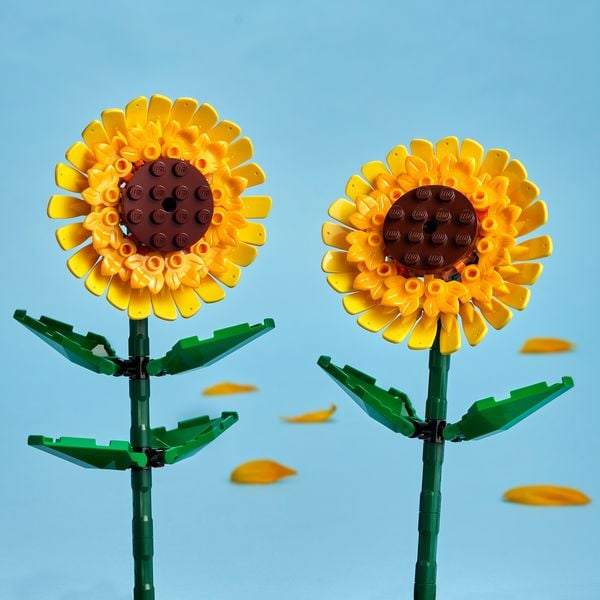 Produktbild: LEGO Botanicals Sonnenblumen - Set mit Kustblumen - Zimmer-Deko 40524