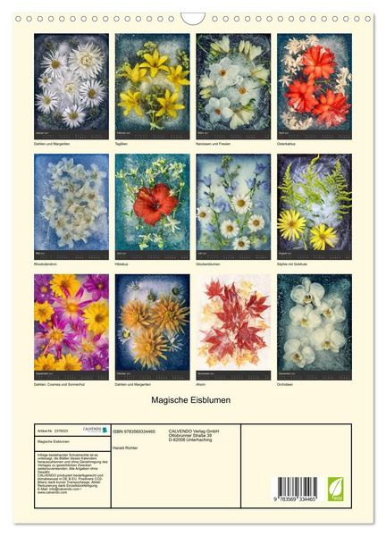 Produktbild: Magische Eisblumen (Wandkalender 2027 DIN A3 hoch), CALVENDO Monatskalender