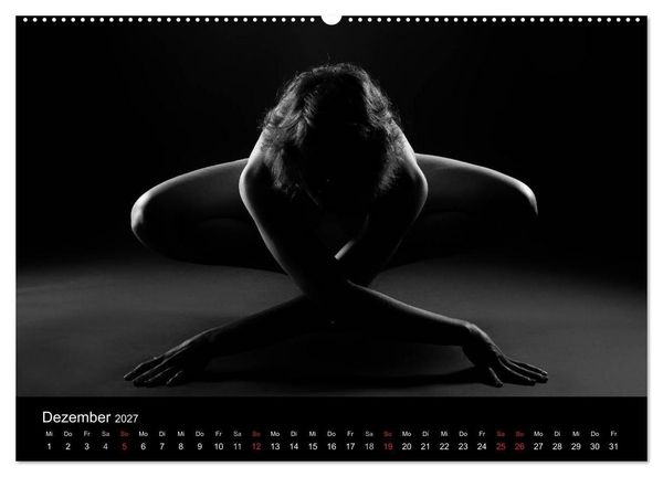 Produktbild: Kunstakt (hochwertiger Premium Wandkalender 2027 DIN A2 quer), Kunstdruck in Hochglanz