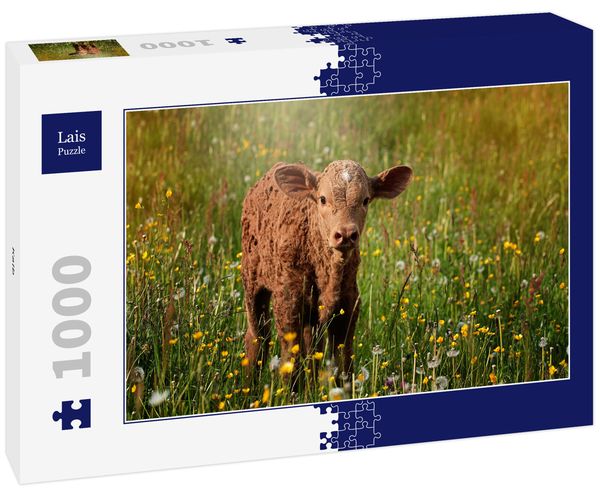 Produktbild: Lais Puzzle Kalb 1000 Teile