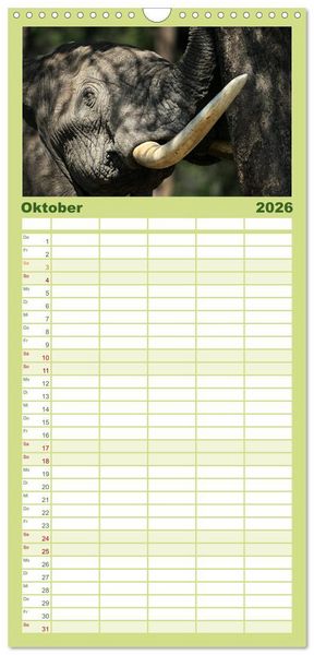 Produktbild: Familienplaner 2026 - Afrika - im Reich der Elefanten mit 5 Spalten (Wandkalender, 21 x 45 cm) CALVENDO