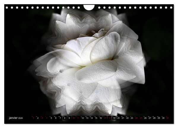 Produktbild: Bouquet d'un jour, bouquet pour toujours (Calendrier mural 2026 DIN A4 vertical), CALVENDO calendrier mensuel