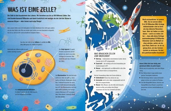 Produktbild: Eine kurze Geschichte des menschlichen K&ouml;rpers - Eine atemberaubende Reise von der Nasenspitze bis zum gro&szlig;en Zeh
