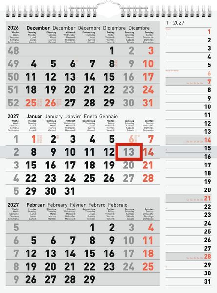 Rido/idé 7033330007 3-Monatskalender 2027 grau, 300×390 mm