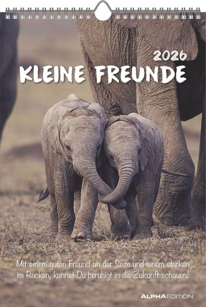 Produktbild: Kleine Freunde 2026 - Bildkalender 23,7x34 cm - Kalender mit Platz für Notizen - mit vielen Zusatzinformationen - Wandkalender - Alpha Edition