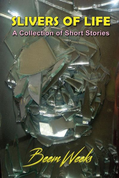 Produktbild: Slivers of Life