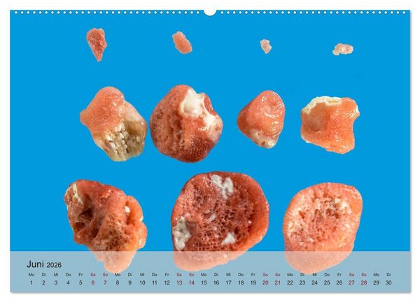 Produktbild: rosaroter korallensand (Wandkalender 2026 DIN A2 quer), CALVENDO Monatskalender