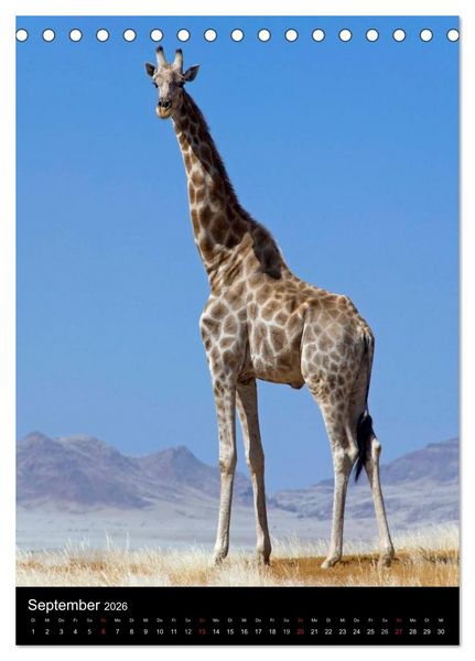 Produktbild: Faszination Namibia (Tischkalender 2026 DIN A5 hoch), CALVENDO Monatskalender