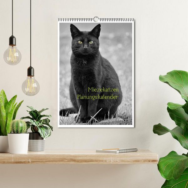Produktbild: Miezekatzen Planungskalender (Wandkalender 2026 DIN A3 hoch), CALVENDO Monatskalender