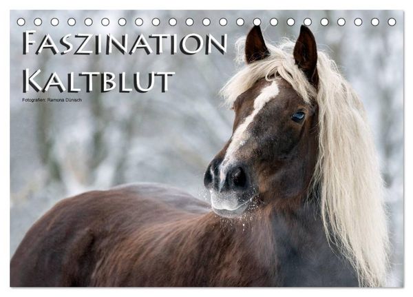 Produktbild: Faszination Kaltblut (Tischkalender 2026 DIN A5 quer), CALVENDO Monatskalender