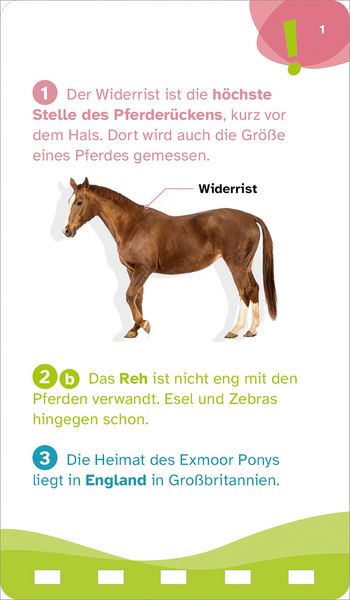 Produktbild: WAS IST WAS Quiz Pferde