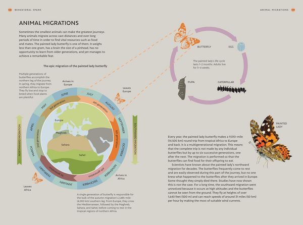 Produktbild: The Time Nature Keeps