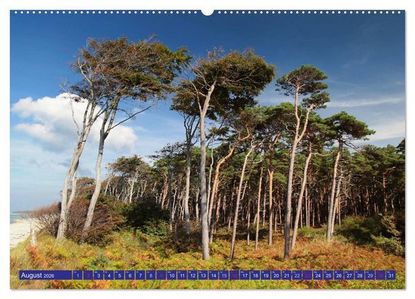 Produktbild: Weststrand Dar&szlig; (hochwertiger Premium Wandkalender 2026 DIN A2 quer), Kunstdruck in Hochglanz