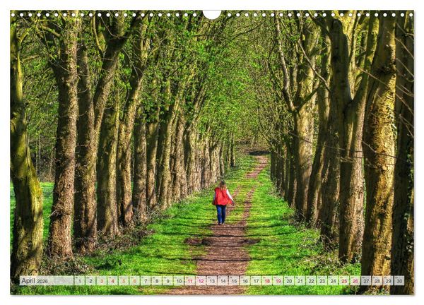 Produktbild: Idyllische Wanderwege im Bergischen Land (Wandkalender 2026 DIN A3 quer), CALVENDO Monatskalender