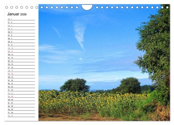 Produktbild: Jakobsweg - Camino Primitivo (Wandkalender 2026 DIN A4 quer), CALVENDO Monatskalender