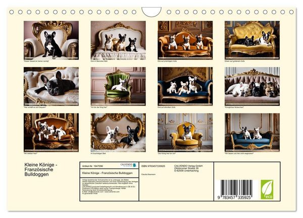 Produktbild: Kleine K&ouml;nige - Franz&ouml;sische Bulldoggen (Wandkalender 2026 DIN A4 quer), CALVENDO Monatskalender