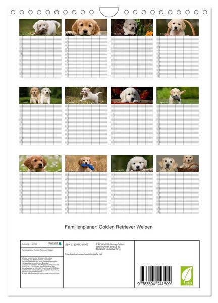 Produktbild: Familienplaner: Golden Retriever Welpen (Wandkalender 2027 DIN A4 hoch), CALVENDO Monatskalender
