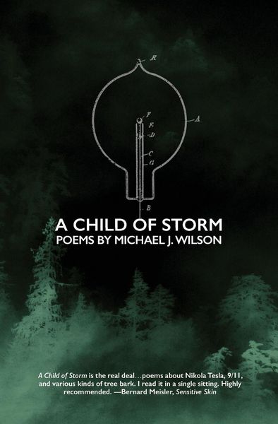 Produktbild: A Child of Storm