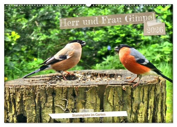 Produktbild: Herr und Frau Gimpel - Stammg&auml;ste im Garten (Wandkalender 2026 DIN A2 quer), CALVENDO Monatskalender