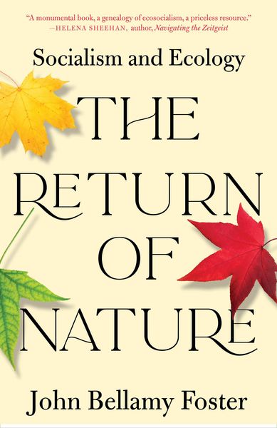 Produktbild: The Return of Nature