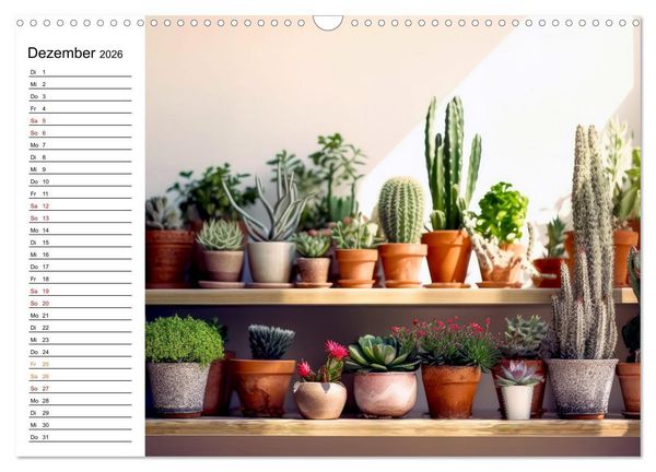 Produktbild: Kaktuszauberland (Wandkalender 2026 DIN A3 quer), CALVENDO Monatskalender