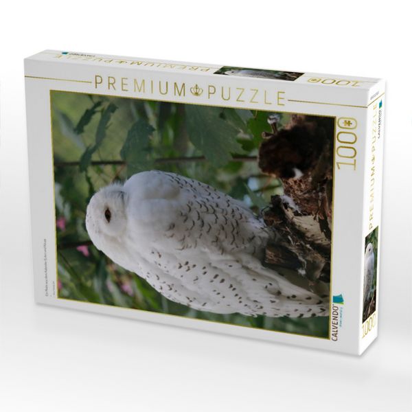 Produktbild: CALVENDO Puzzle Ein Motiv aus dem Kalender Eulen und K&auml;uze | 1000 Teile Lege-Gr&ouml;&szlig;e 64x48cm Foto-Puzzle f&uuml;r gl&uuml;ckliche Stunden