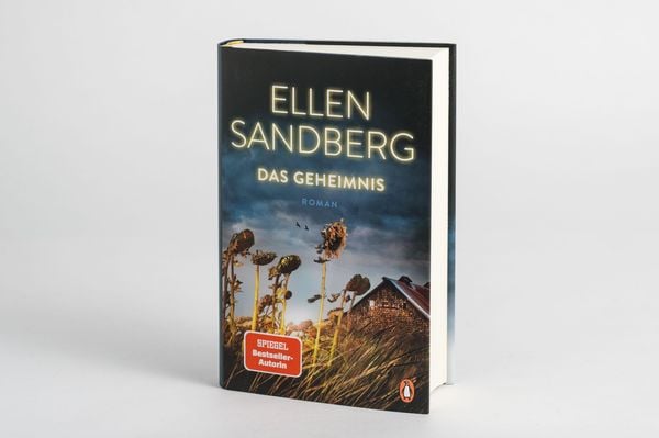 Produktbild: Das Geheimnis