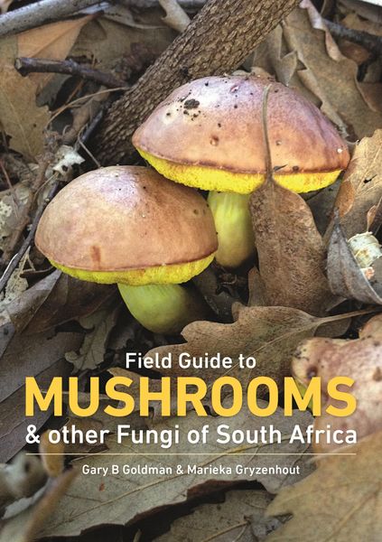 Produktbild: Field Guide to Mushrooms & other Fungi of South Africa