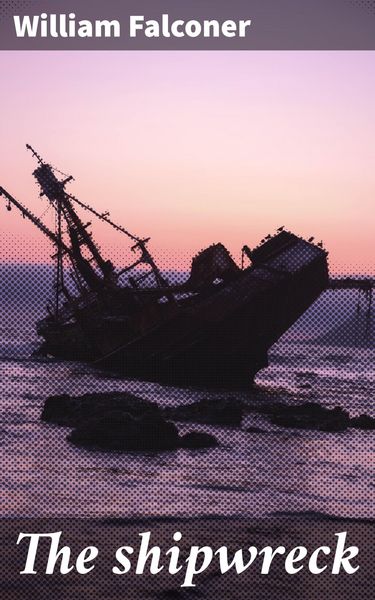 Produktbild: The shipwreck