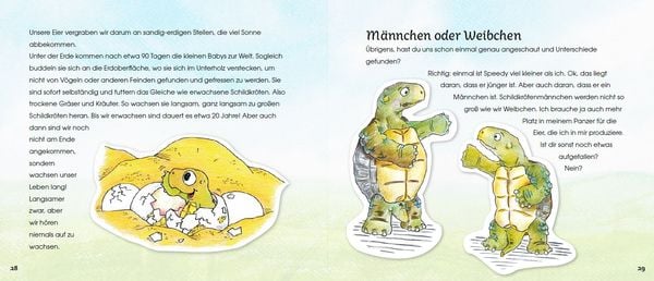 Produktbild: Griechische Landschildkr&ouml;ten