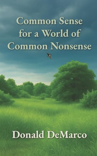 Produktbild: Common Sense for a World of Common Nonsense