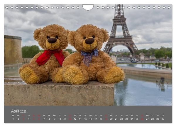 Produktbild: Travelling Teddy 2026 (Wandkalender 2026 DIN A4 quer), CALVENDO Monatskalender