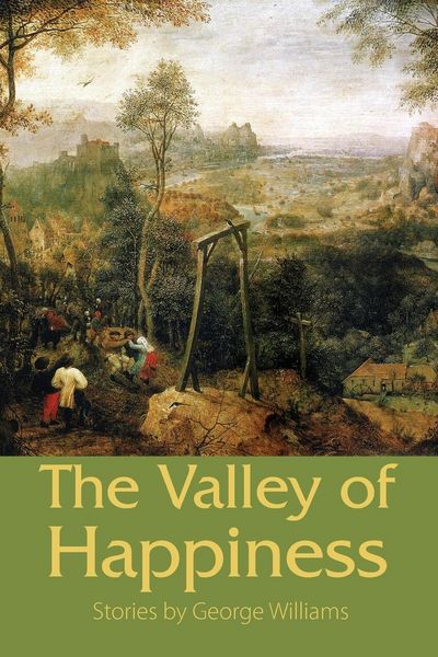Produktbild: The Valley of Happiness