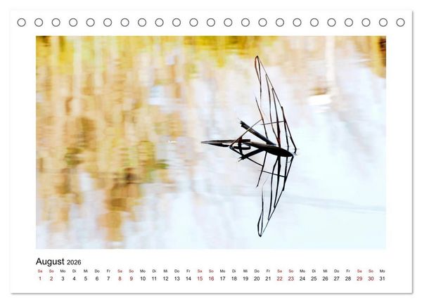 Produktbild: Wasserzauber (Tischkalender 2026 DIN A5 quer), CALVENDO Monatskalender